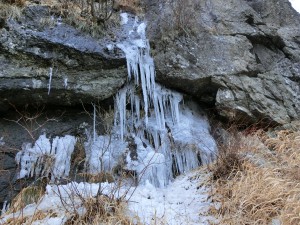 CIMG0544